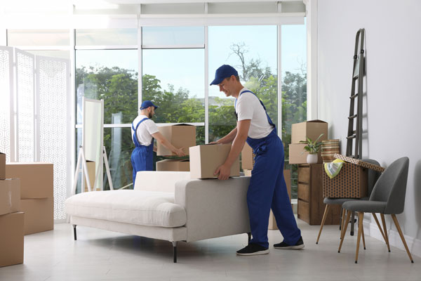 Professional Movers